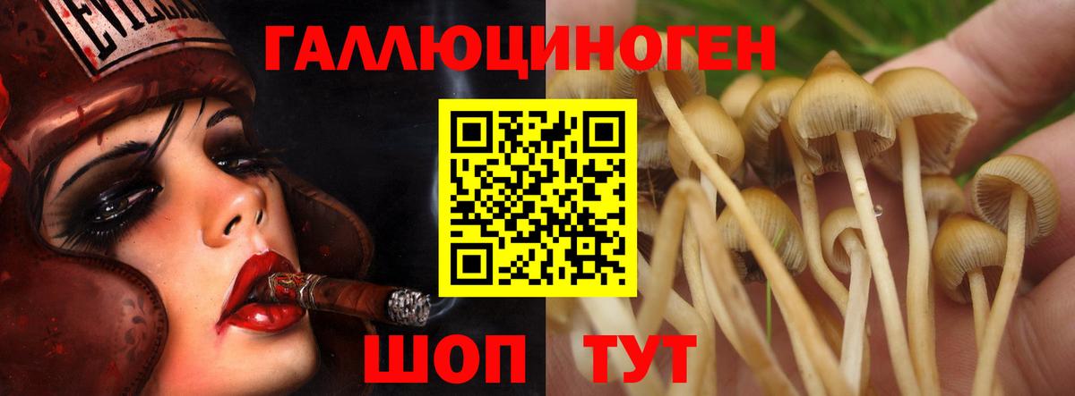 Галлюциногенные грибы Magic Shrooms  Вход с VPN  Галлюциногенные грибы MAGIC MUSHROOMS  Нефтекумск 